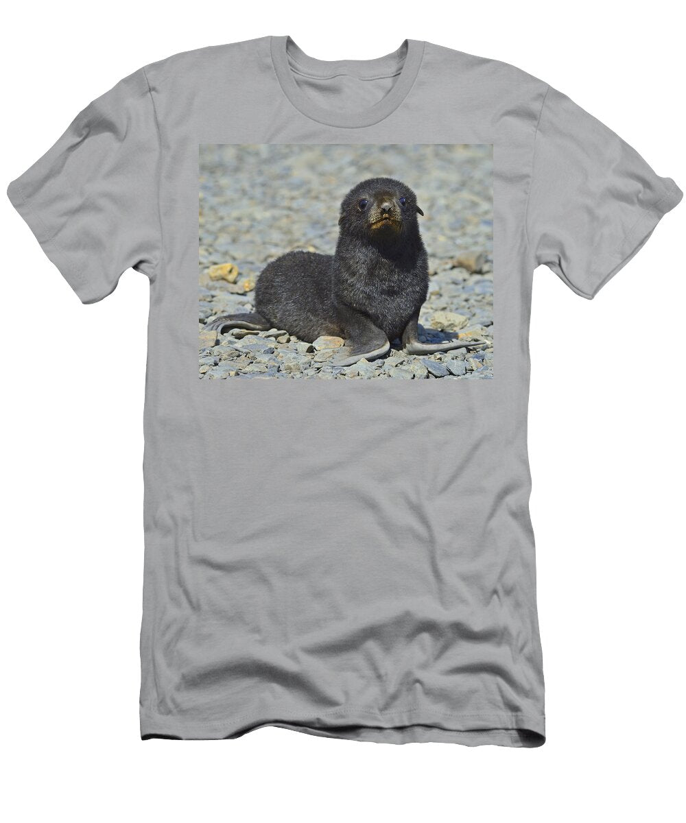 New to the World Tony Beck T-Shirt