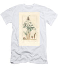 Noble Cane Sugar Cane Saccharum Officinarum Pierre Jean Francois Turpin T-Shirt