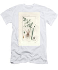 Oats Cultivee or Byzantine Oats 1830 Oats Avena Sativa European School T-Shirt
