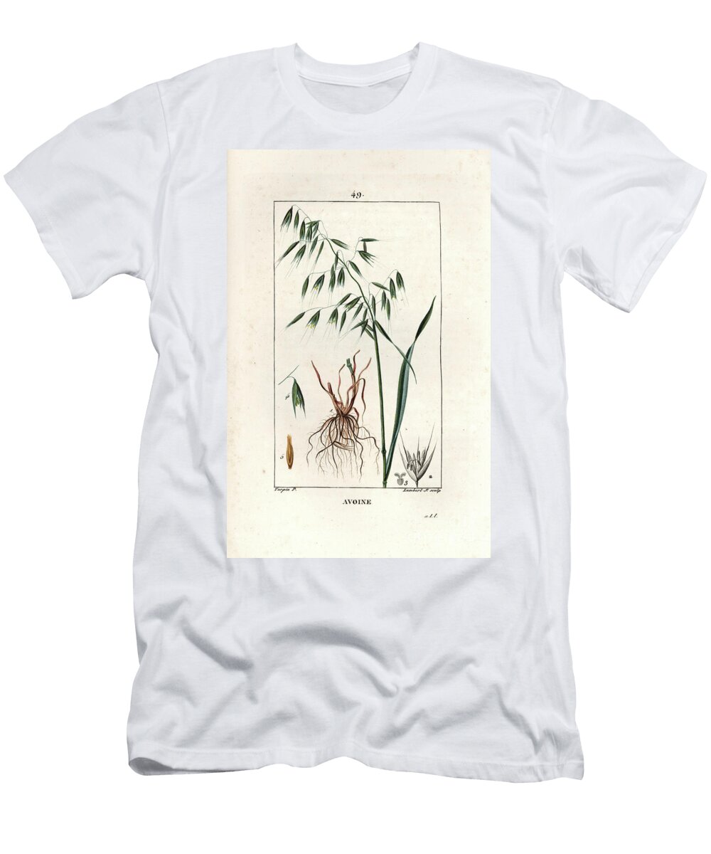 Oats Cultivee or Byzantine Oats 1830 Oats Avena Sativa European School T-Shirt