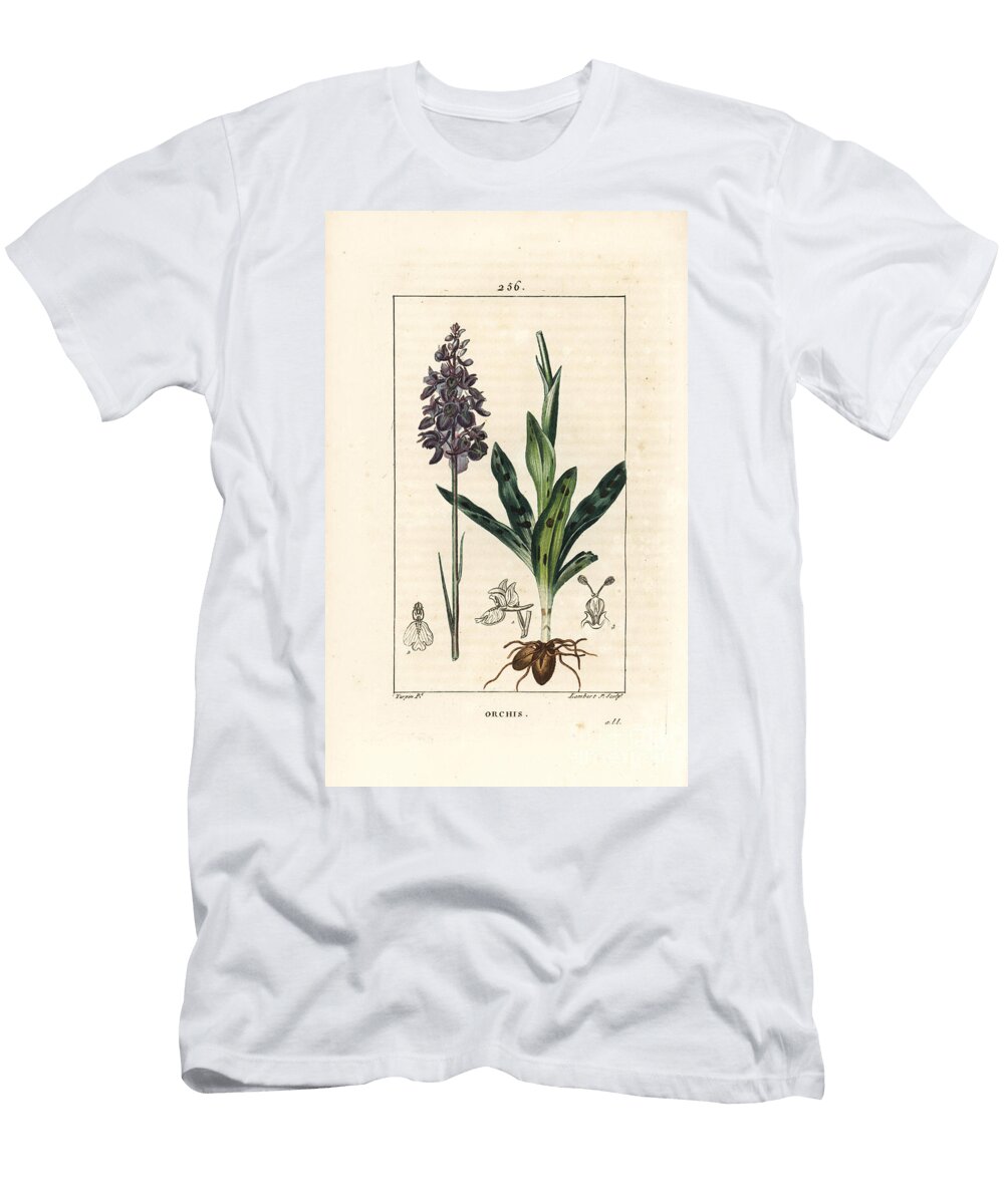 Orchis Male or Satyrion Male Early Purple or Male Orchid Orchis Mascula with Flower Stalk Leaf and Bulb Pierre Jean Francois Turpin T-Shirt