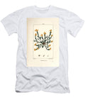 Orpin Acre Golden Stonecrop Sedum Acre Pierre Jean Francois Turpin T-Shirt
