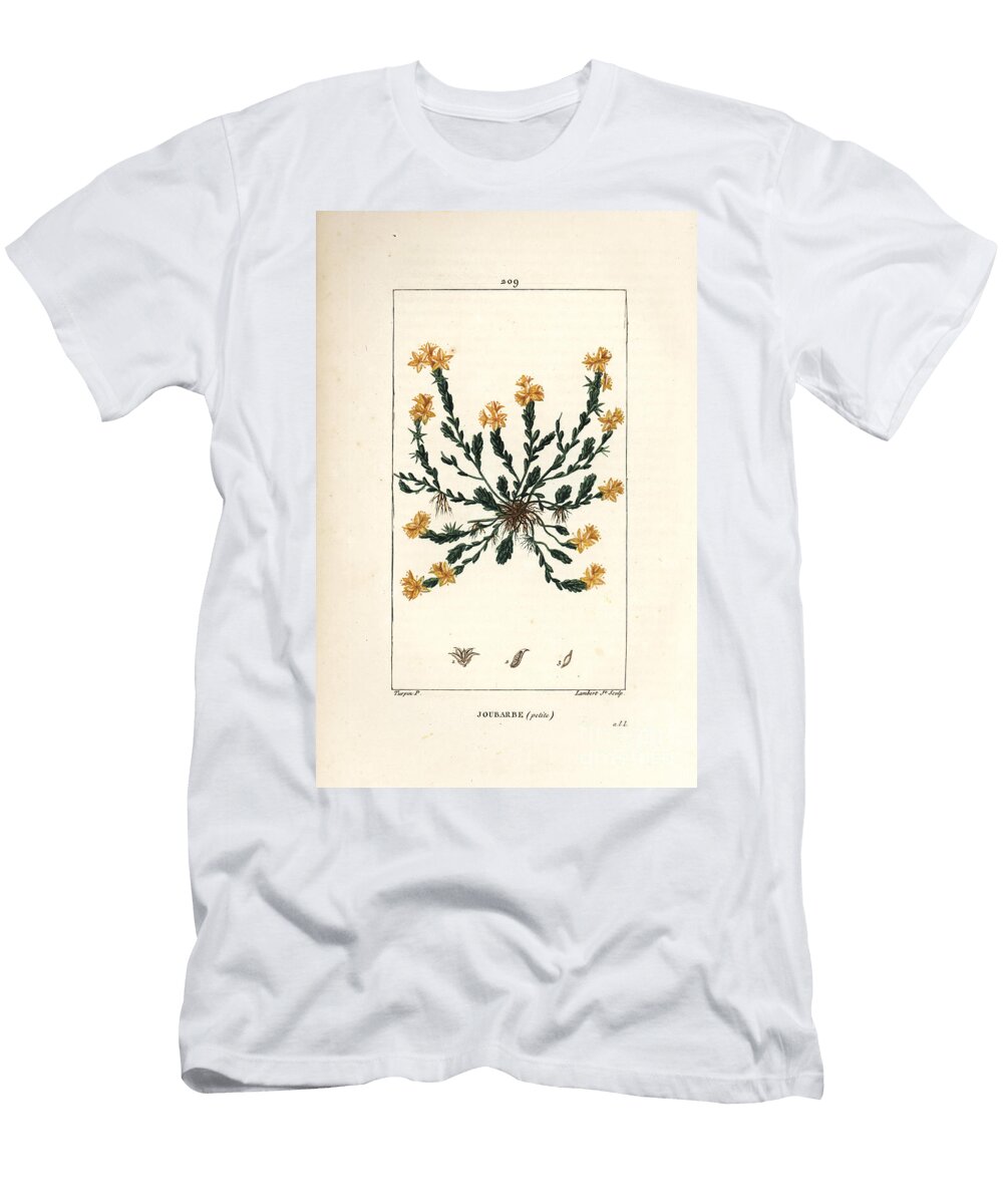 Orpin Acre Golden Stonecrop Sedum Acre Pierre Jean Francois Turpin T-Shirt