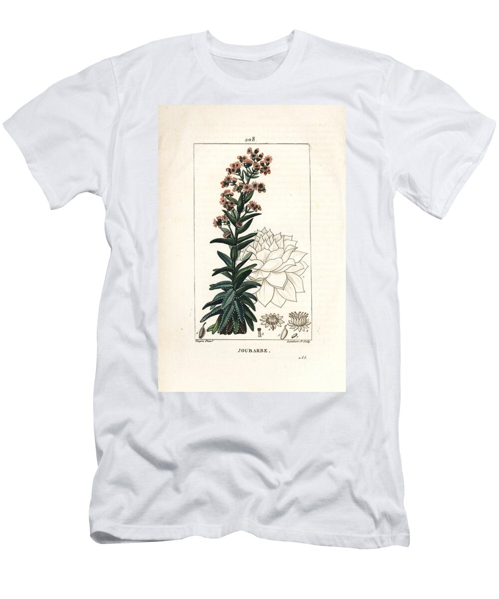 Orpin Common Houseleek Sedum Majus Pierre Jean Francois Turpin T-Shirt
