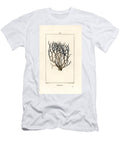 Orseille or French Purple Lichen Orcein or Archil Roccella Tinctoria Lichen Used for Dye From the Cape Verde Islands Pierre Jean Francois Turpin T-Shirt