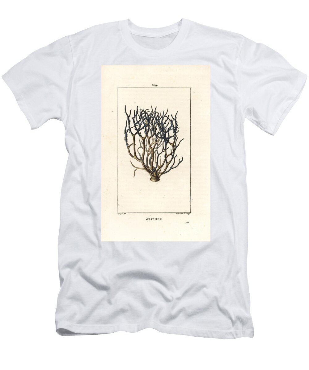 Orseille or French Purple Lichen Orcein or Archil Roccella Tinctoria Lichen Used for Dye From the Cape Verde Islands Pierre Jean Francois Turpin T-Shirt