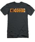 Panorama of Fall Colors At Martin Dies Junior State Park Jasper Piney Woods East Texas Silvio Ligutti T-Shirt