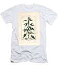 Parietaire Officinale or Perce Wallaille Casse Pierre Espargoule Gamberoussette Wall Pellitory Parietaria Officinalis with Stalk Leaf Flower and Seed Pierre Jean Francois Turpin T-Shirt