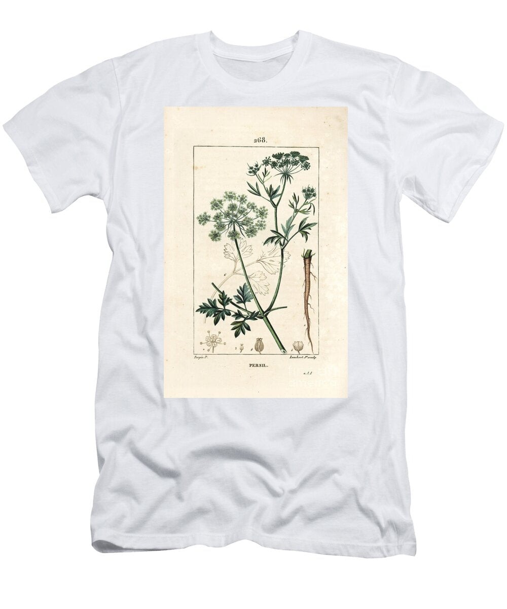 Parsley Garden Parsley Petroselinum Crispum with Flower Leaf Stalk Root and Seed Pierre Jean Francois Turpin T-Shirt