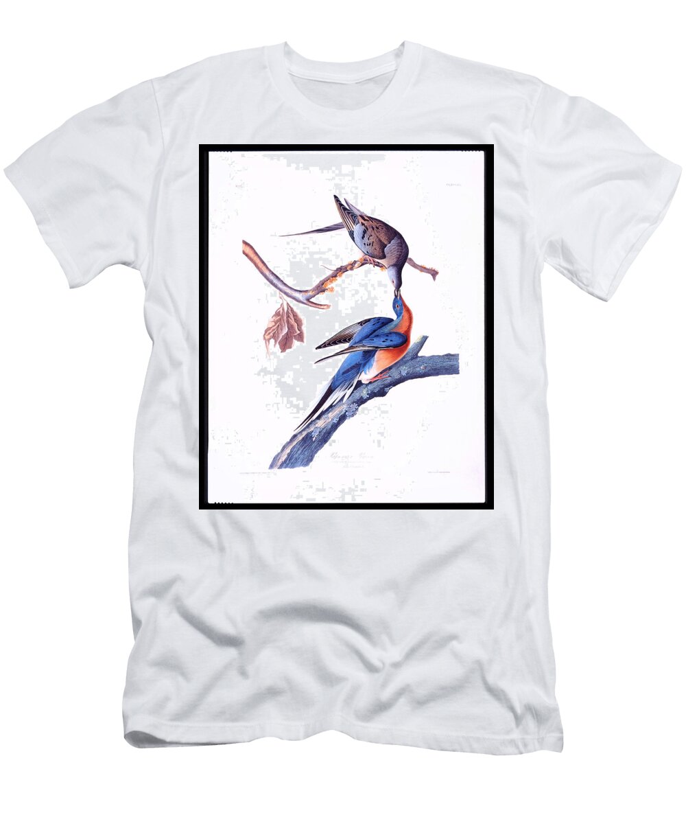 Passanger Pigeon Celestial Images T-Shirt