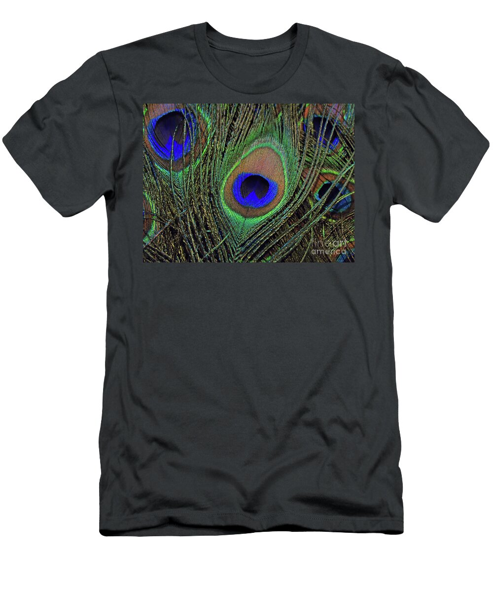 Peacock Feather Art 1 D Hackett T-Shirt
