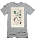 Peanut Engraving By Lambert Fils From a Drawing By Ernestine Panckoucke 1784 1860 Groundnut or Peanut Arachis Hypogaea European School T-Shirt