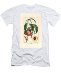 Pecher Peach Tree Amygdalus Persica with Blossom Leaf Stalk Ripe Fruit and Fruit in Section with Seed Pierre Jean Francois Turpin T-Shirt