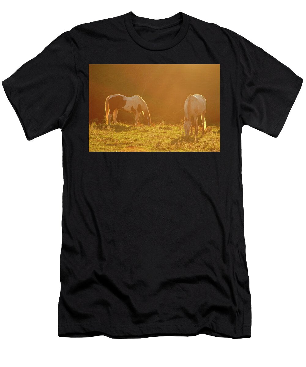 Pee Dee Puck and Evening Light Bo Boggs T-Shirt