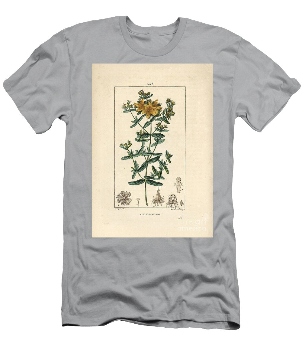 Perforated St Johns Wort Pierre Jean Francois Turpin T-Shirt