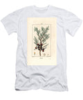 Phenicie or Lycia Juniper or Red Juniper Phoenicean Juniper Arar or Incense Juniperus Phoenicea with Branch Leaf and Berry Pierre Jean Francois Turpin T-Shirt