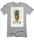 Pineapple Pineapple Fruit Pineapple Comosus European School T-Shirt