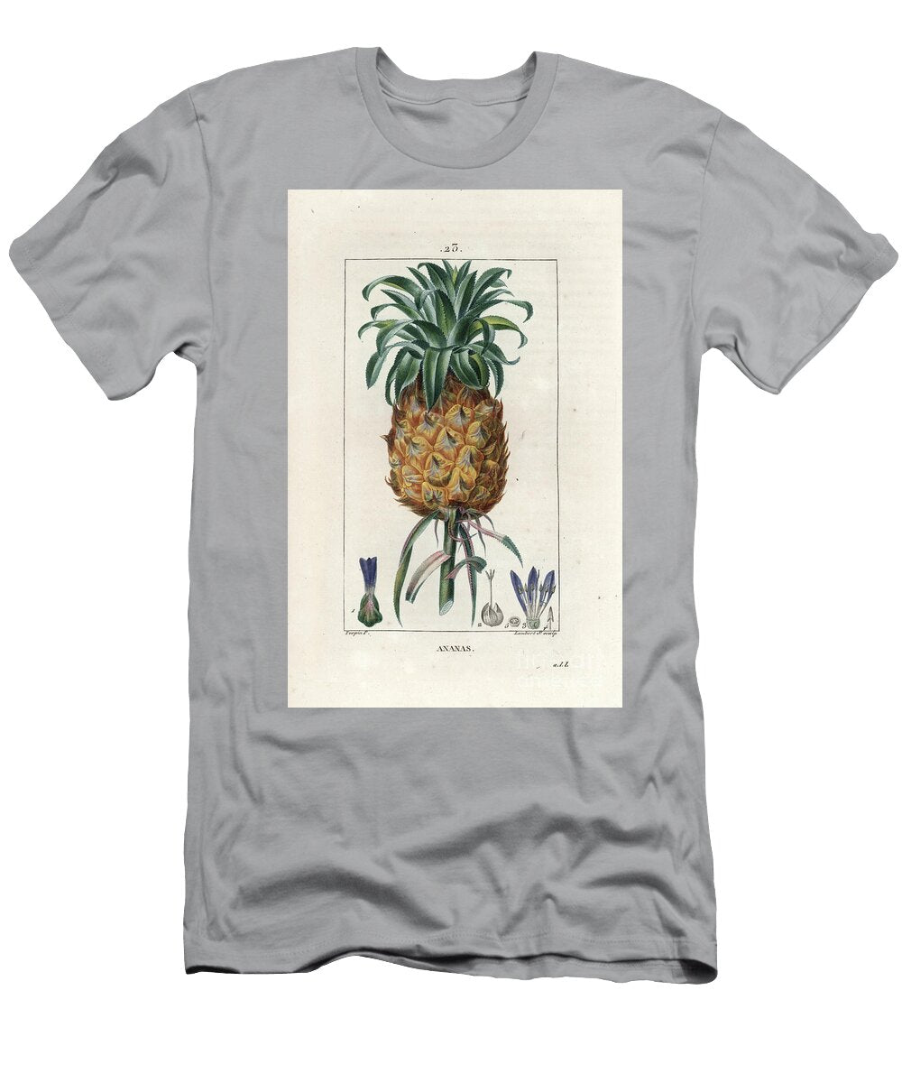 Pineapple Pineapple Fruit Pineapple Comosus European School T-Shirt