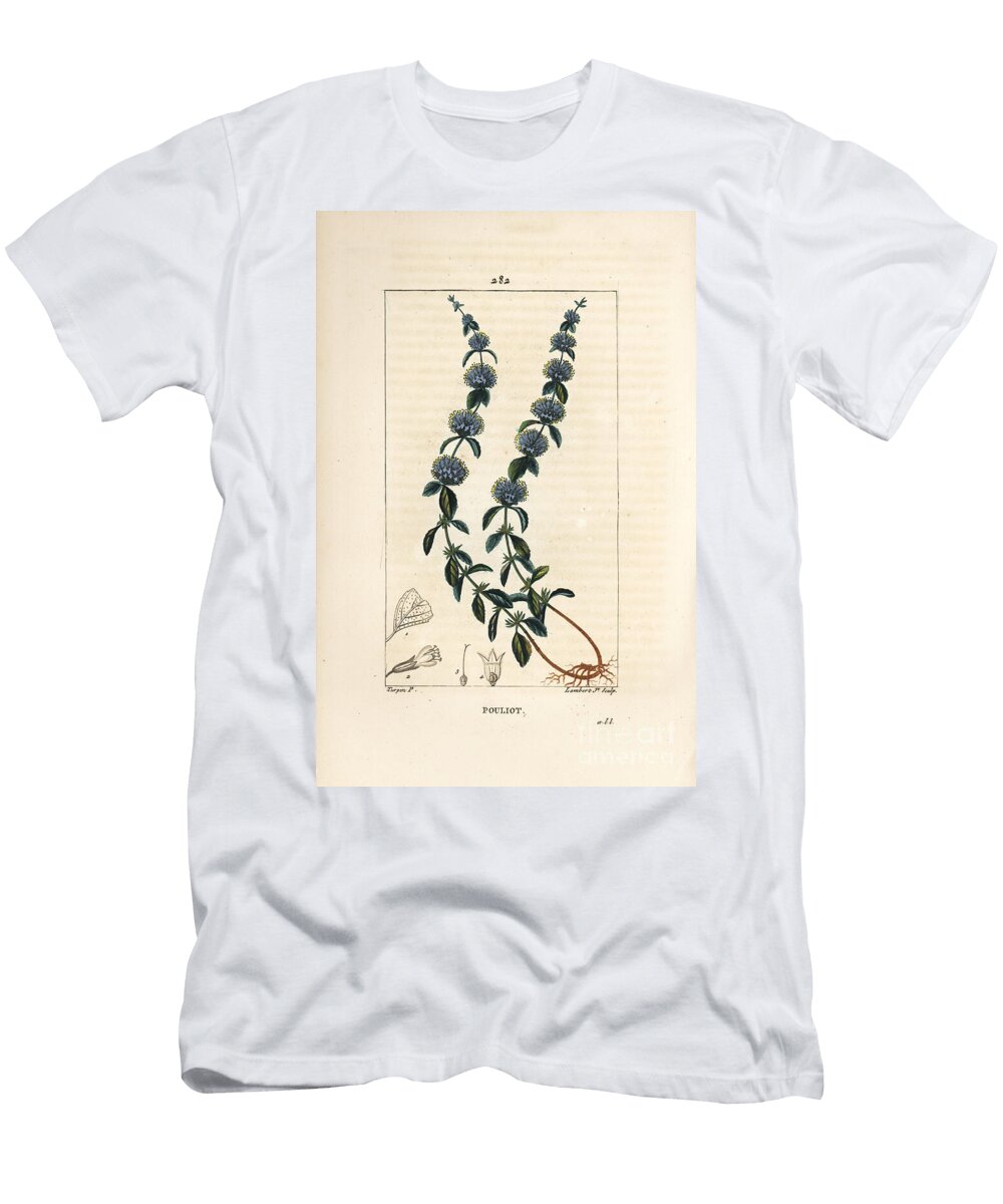Pouliot Mint Pennyroyal Mint Mentha Pulegium with Flower Leaf Stalk Root and Seed Pierre Jean Francois Turpin T-Shirt