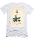 Primevere Officinale Ou Brerelle Cuckoo Herb a LA Paralysis Herb De Saint Paul Primerolle Cowslip Primula Veris Showing Flower Leaf and Roots Pierre Jean Francois Turpin T-Shirt