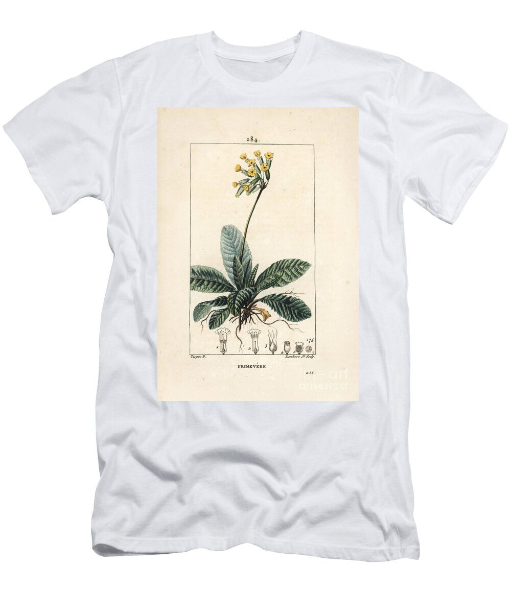 Primevere Officinale Ou Brerelle Cuckoo Herb a LA Paralysis Herb De Saint Paul Primerolle Cowslip Primula Veris Showing Flower Leaf and Roots Pierre Jean Francois Turpin T-Shirt