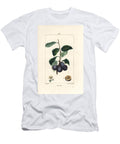 Prune Plum or Plum Tree Prunus Domestica with Fruit Leaf Blossom Branch and Ripe Fruit in Section Pierre Jean Francois Turpin T-Shirt