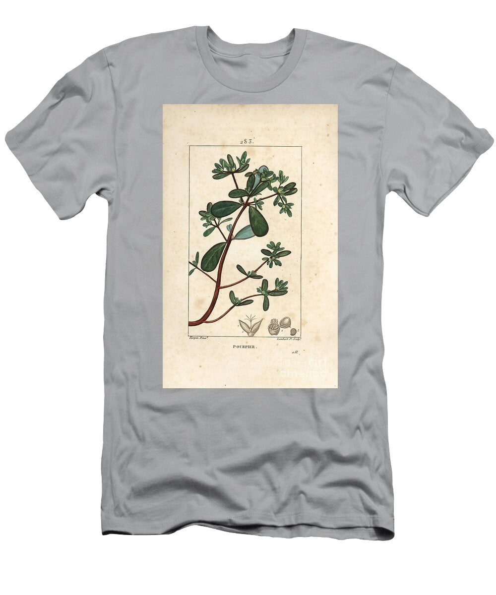 Purslane Porcelane Porculaca Oleracea with Leaf Stalk and Flower Pierre Jean Francois Turpin T-Shirt
