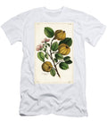 Quince Tree and Fruit Cydonia Oblonga Pyrus Cydonia Linn the Younger Dupin T-Shirt