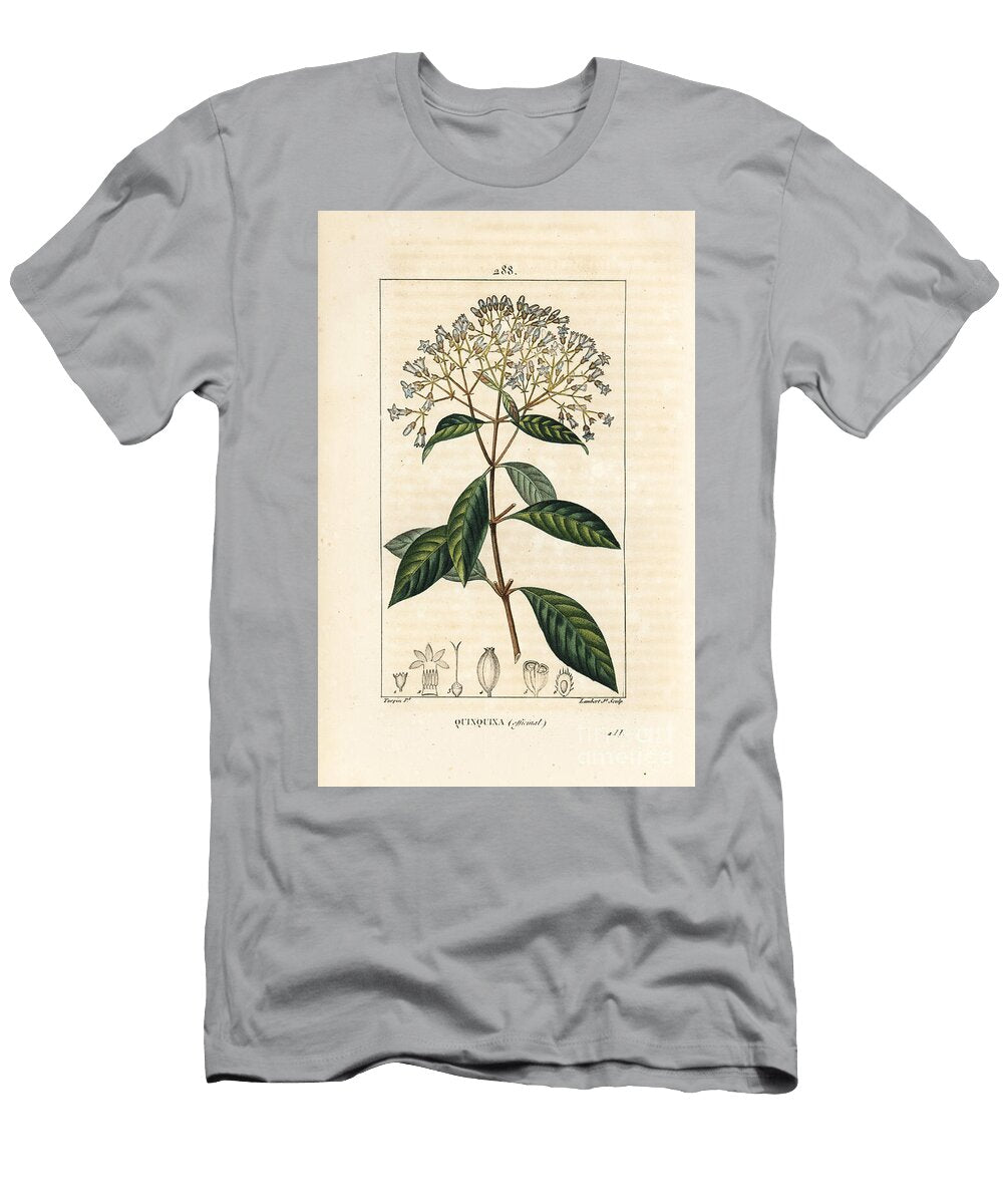 Quinquina Quinine or Peruvian Bark Tree Cinchona Officinalis with Flower Branch Leaf and Seed Pierre Jean Francois Turpin T-Shirt