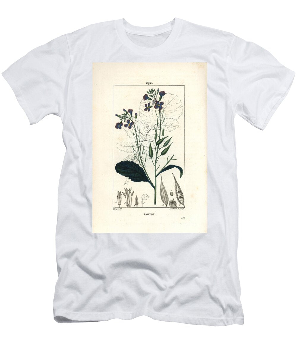 Radish Radish Raphanus Sativus with Flower Leaf Seed and Leaf Outline Pierre Jean Francois Turpin T-Shirt