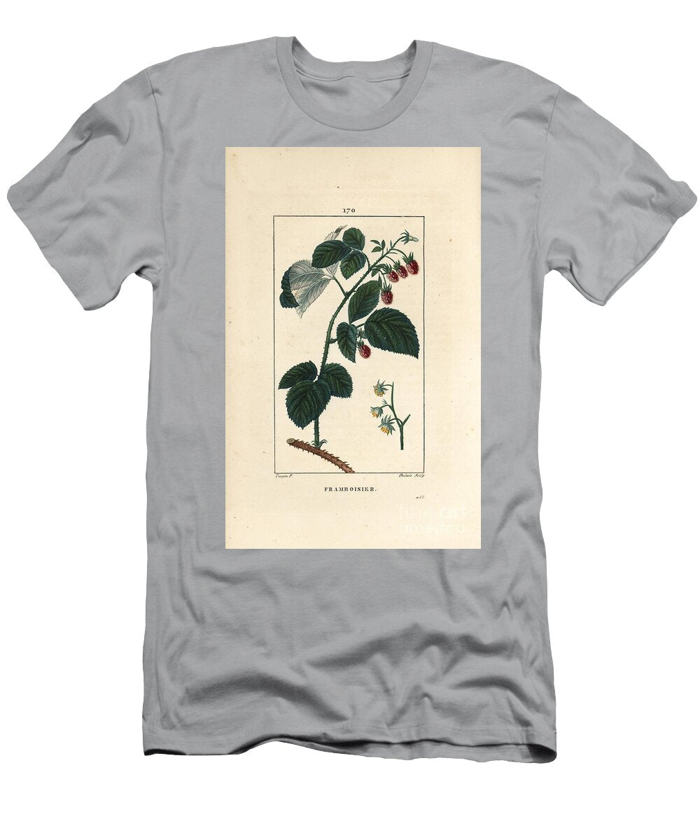 Raspberry Raspberry Rubus Idaeus Showing Flowers Leaves Thorns and Ripe Fruit Pierre Jean Francois Turpin T-Shirt