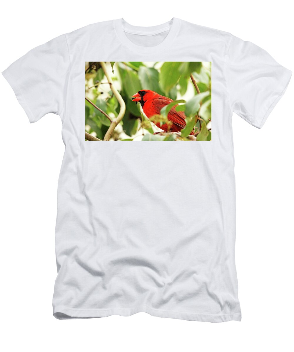 Red Cardinal with Snack Debbie Oppermann T-Shirt
