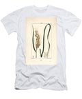 Rice Rice Oryza Sativa with Leaf Seed and Stalk Pierre Jean Francois Turpin T-Shirt