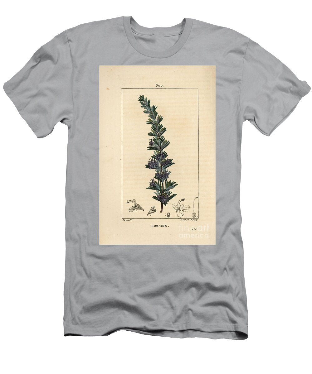 Rosemary Rosemary Rosmarinus Officinalis with Flower Leaf and Stalk Pierre Jean Francois Turpin T-Shirt