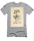 Rue Des Jardins or Rue Fetide Rue or Herb of Grace Ruta Graveolens Showing Flower Leaf Stalk Seed and Outline Pierre Jean Francois Turpin T-Shirt