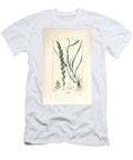 Rye Grass Gramen Loliaceum Pierre Jean Francois Turpin T-Shirt