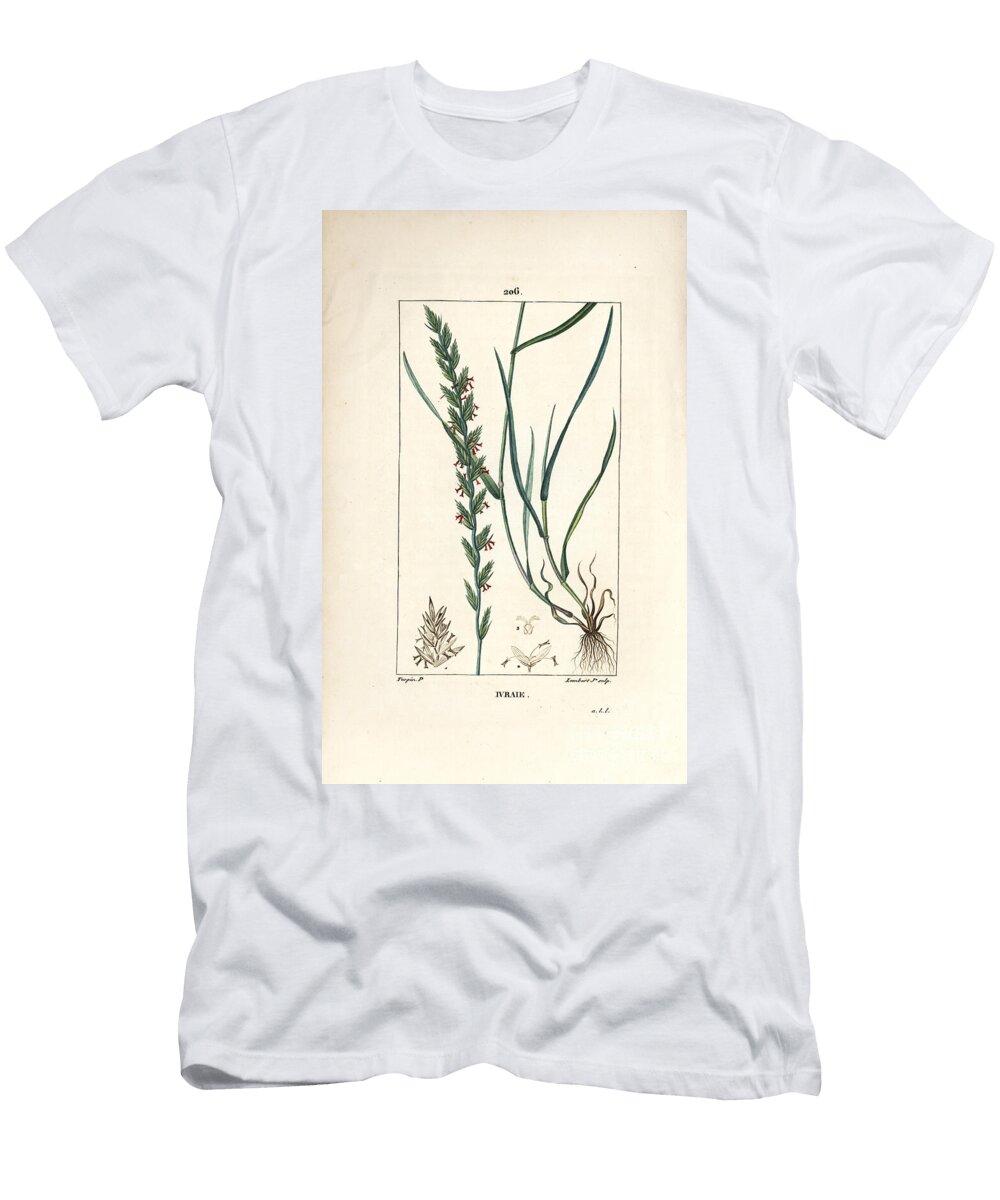 Rye Grass Gramen Loliaceum Pierre Jean Francois Turpin T-Shirt