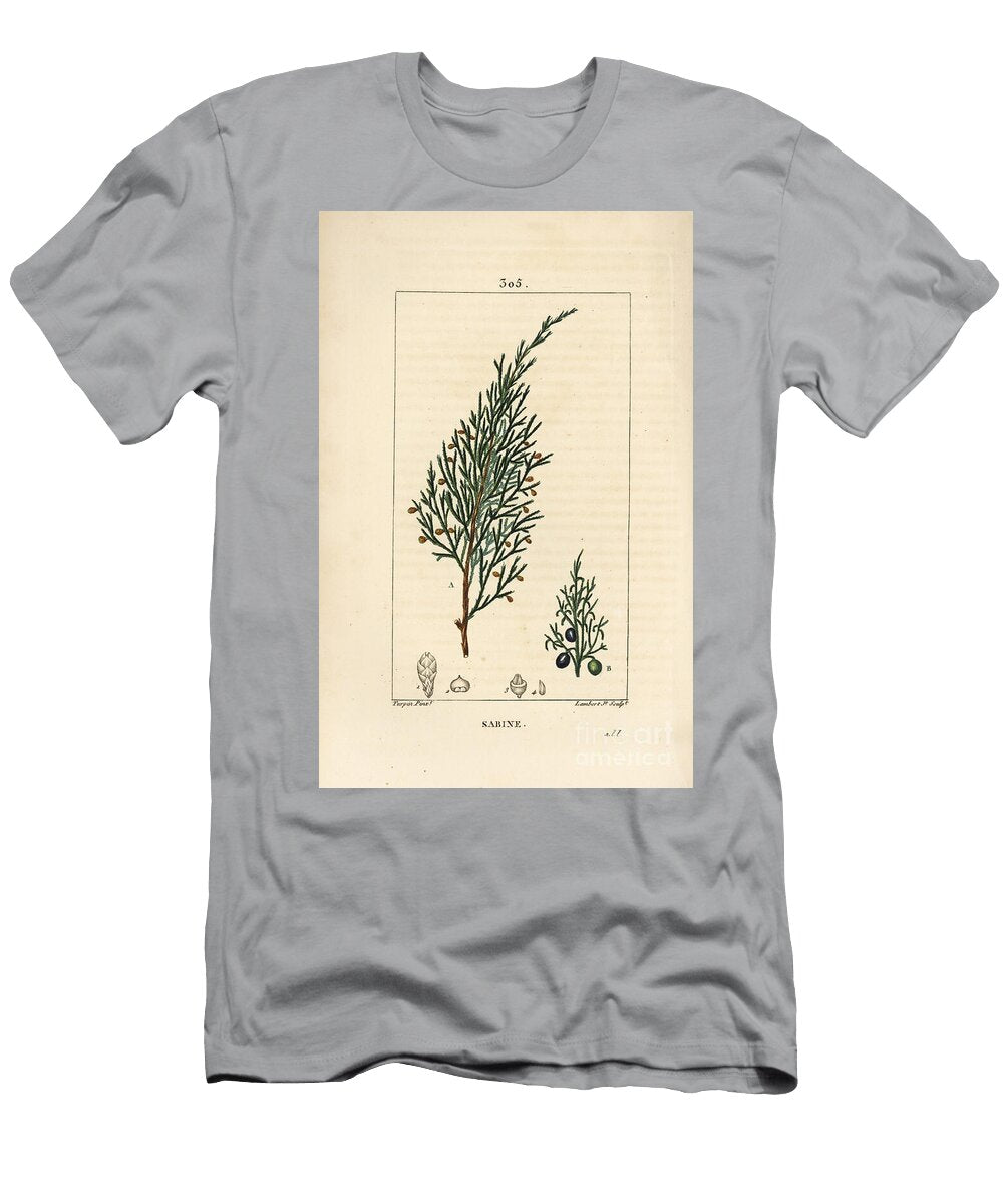 Sabine Juniper Juniperus Sabina with Berry Leaf Stalk and Seed Pierre Jean Francois Turpin T-Shirt