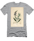 Sage Officinale Common Sage Salvia Officinalis with Flower Leaf Stalk and Seed Pierre Jean Francois Turpin T-Shirt