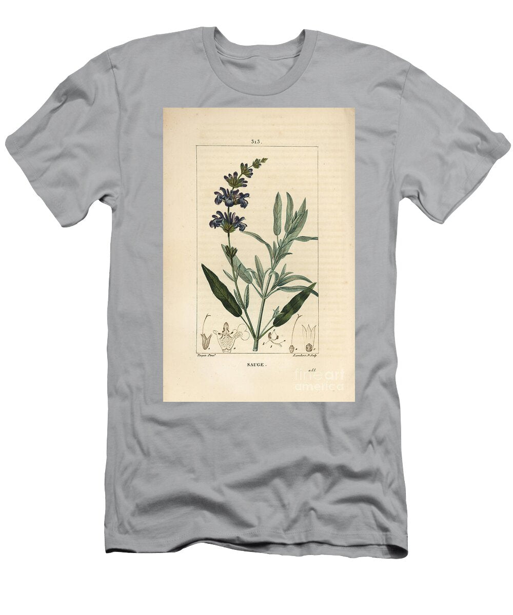 Sage Officinale Common Sage Salvia Officinalis with Flower Leaf Stalk and Seed Pierre Jean Francois Turpin T-Shirt