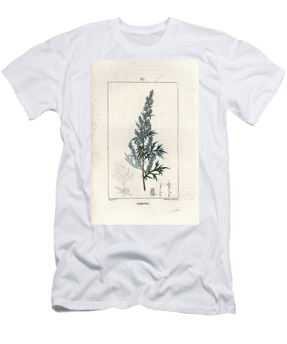 Sagebrush Engraving By Lambert Fils Mugwort or Common Wormwood Artemisia Vulgaris European School T-Shirt