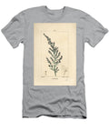 Sagebrush Variete Wormseed or Tatarian Southernwood Artemisia Santonicum Pierre Jean Francois Turpin T-Shirt