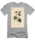 Salsepareille or Mountain Granon Spiny Bindweed Spiny Liset Rough Bindweed or Sarsaparille Smilax Aspera with Flower Stem Tendril Leaf and Seed Pierre Jean Francois Turpin T-Shirt