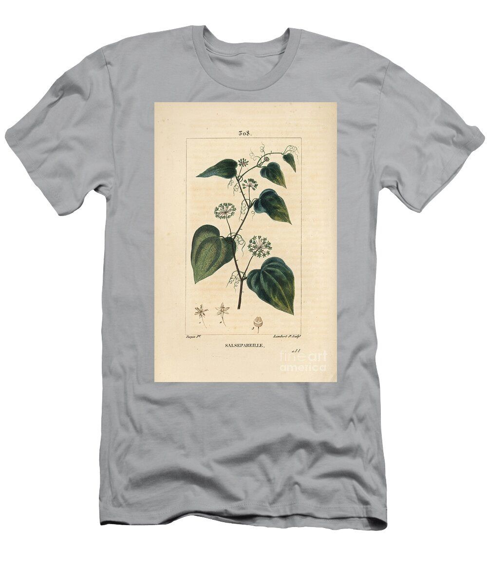 Salsepareille or Mountain Granon Spiny Bindweed Spiny Liset Rough Bindweed or Sarsaparille Smilax Aspera with Flower Stem Tendril Leaf and Seed Pierre Jean Francois Turpin T-Shirt