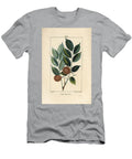 Sang Dragon Sandragon Mangle Medaille Paletuvier or Mangle Rivire Dragonsblood or Paduak Tree Pterocarpus Officinalis Pterocarpus Draco with Leaf Fruit and Seed Pierre Jean Francois Turpin T-Shirt