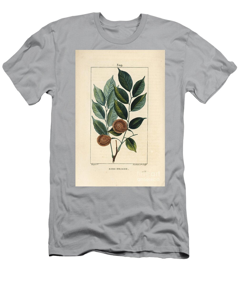 Sang Dragon Sandragon Mangle Medaille Paletuvier or Mangle Rivire Dragonsblood or Paduak Tree Pterocarpus Officinalis Pterocarpus Draco with Leaf Fruit and Seed Pierre Jean Francois Turpin T-Shirt
