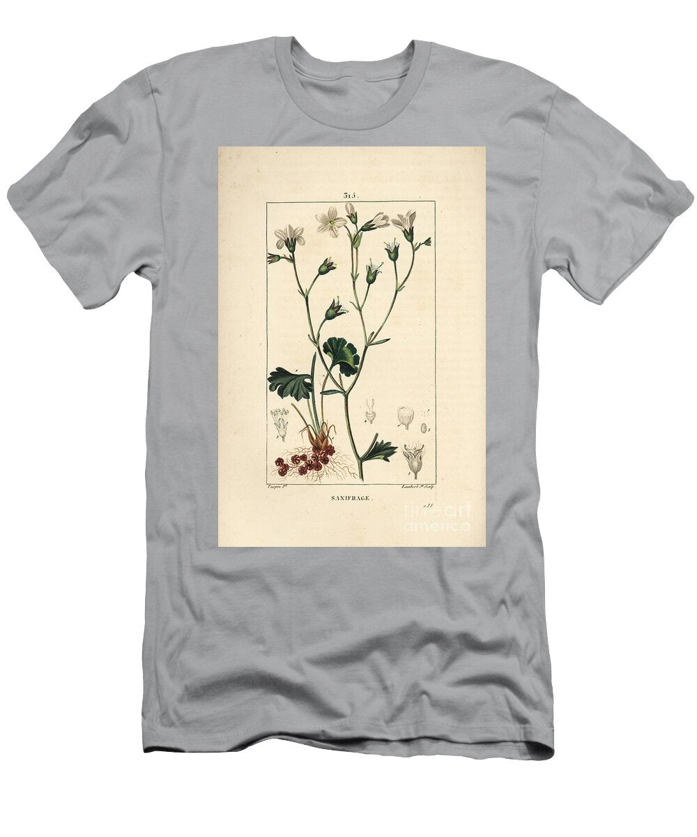 Saxifrage Granulee or Saxifrage a Bulbbles Meadow Saxifrage Saxifraga Granulata with Flower Leaf Stalk and Root Pierre Jean Francois Turpin T-Shirt