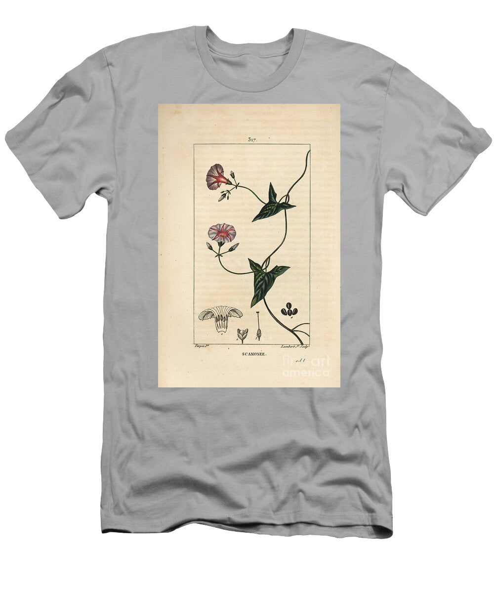 Scammonee Scammony Convolvulus Scammonia with Flower Leaf Stalk and Climbing Tendril Pierre Jean Francois Turpin T-Shirt