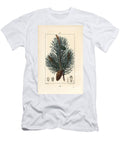 Scots Pine Wild Pine Tree or Scots Pine Pinus Sylvestris with Branch Needle and Pine Cone Pierre Jean Francois Turpin T-Shirt