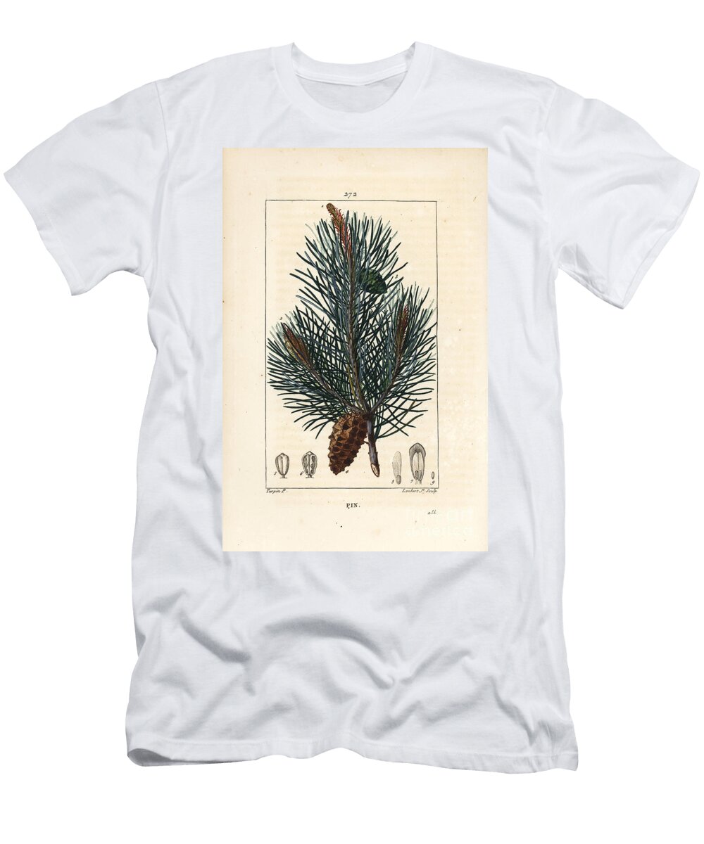 Scots Pine Wild Pine Tree or Scots Pine Pinus Sylvestris with Branch Needle and Pine Cone Pierre Jean Francois Turpin T-Shirt